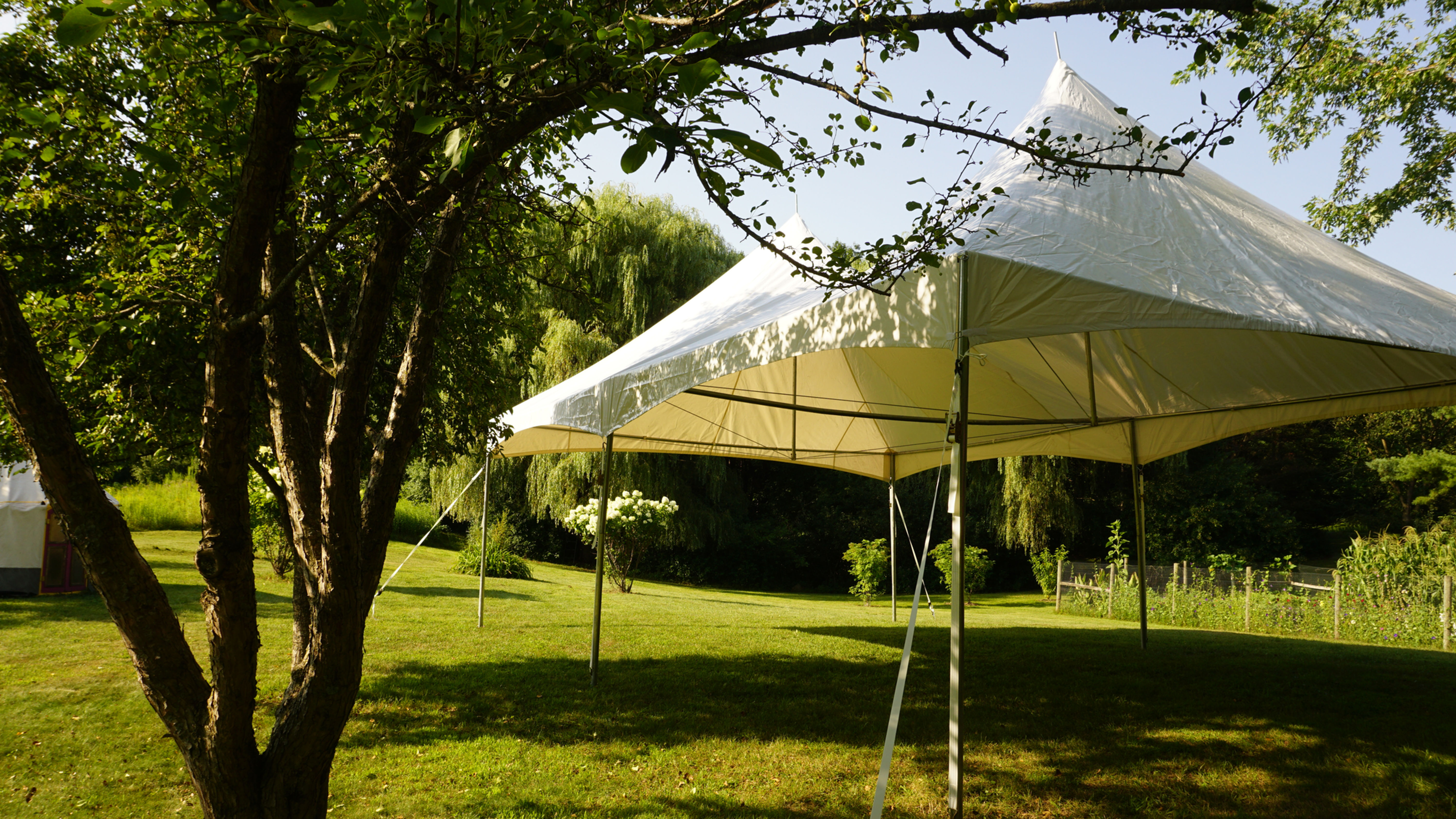 White Canopy Tent; 20 x 30 foot
