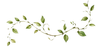 unnamed (1)_edited_edited.png
