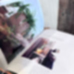 Thumbnail: The Inspired Houseplant