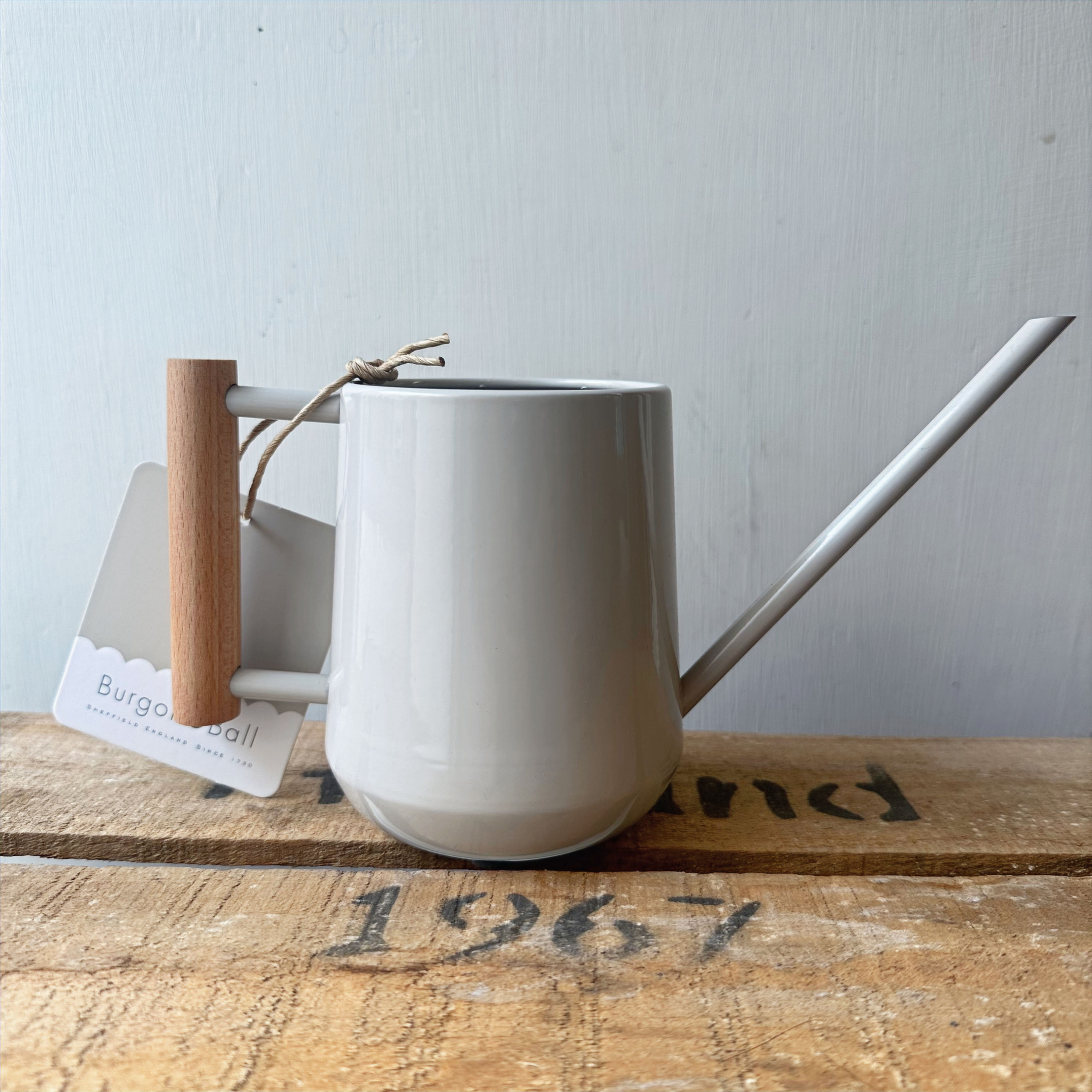 Indoor Watering Can | Mushroom