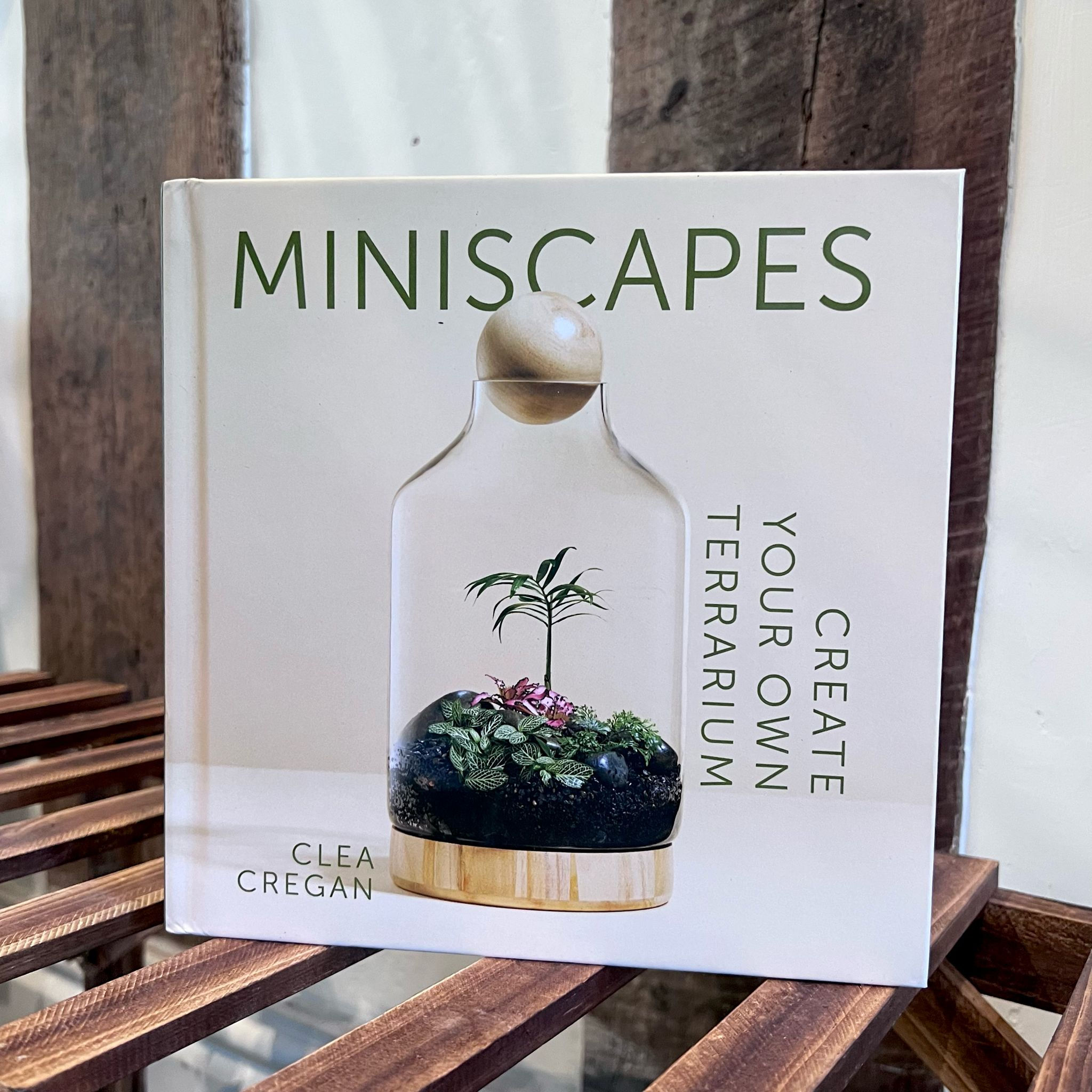 Miniscapes | Create Your Own Terrarium