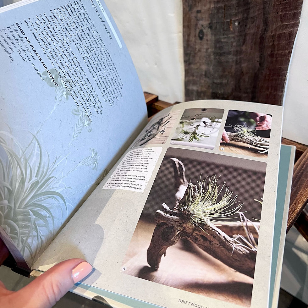 Thumbnail: The Kew Gardeners Guide to Growing House Plants
