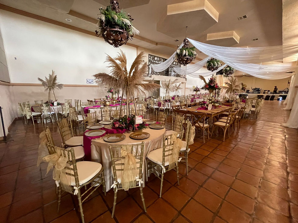 WhatsApp Image 2022-09-12 at 11.37.14 AM