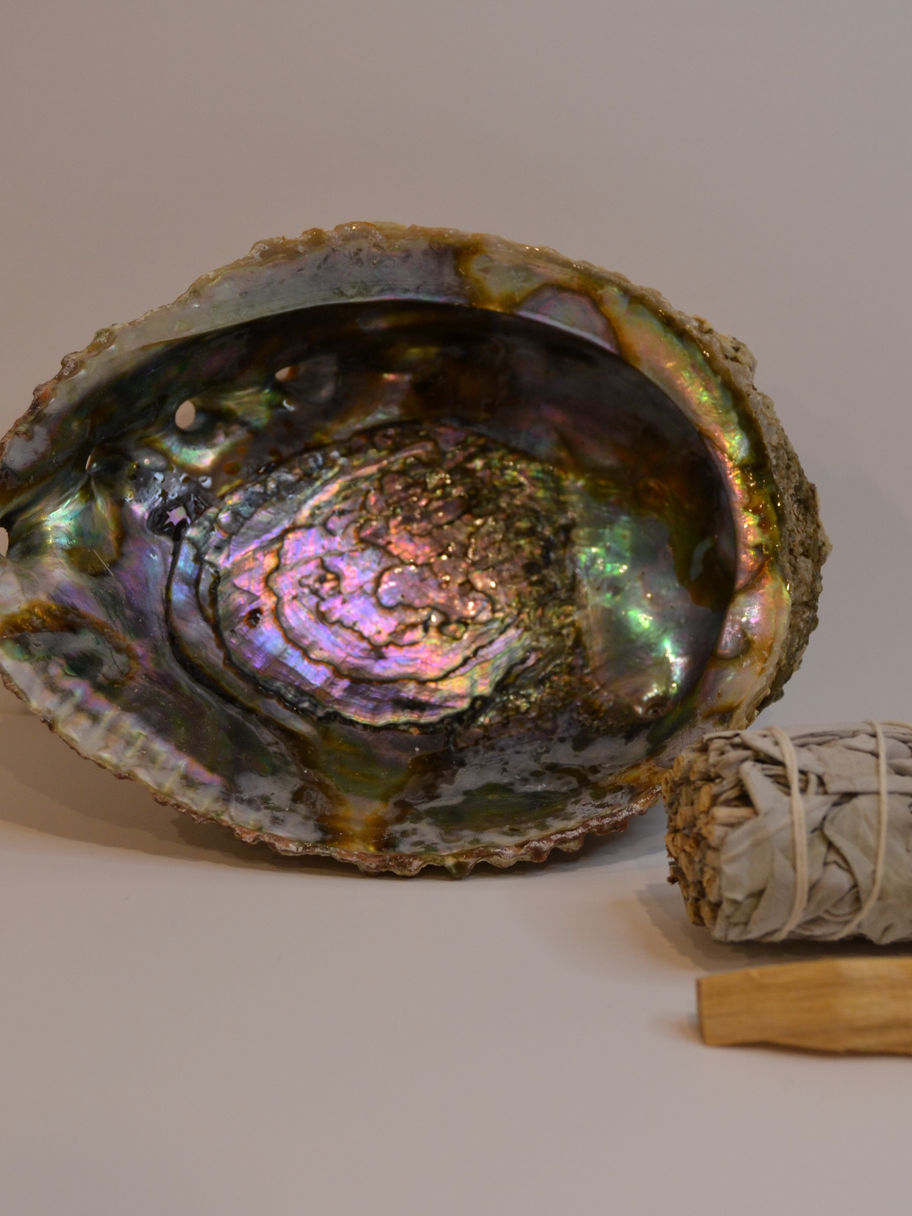 Coquille d'Ormeau - Naturelle