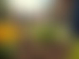 Volunteer Pathways for Career Growth and Leadership