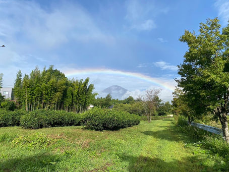 命と向き合うエステという在り方