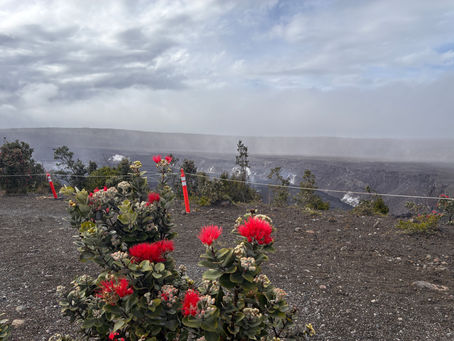 ハワイ島の余韻
