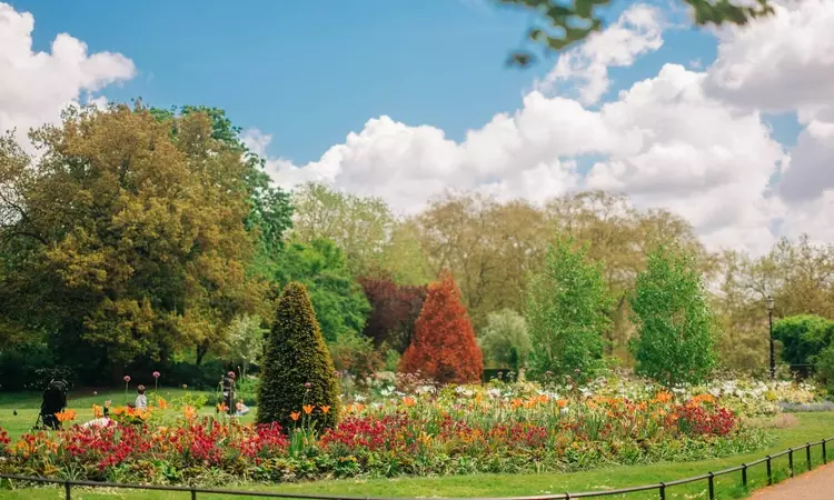 Hyde Park rose garden in spring