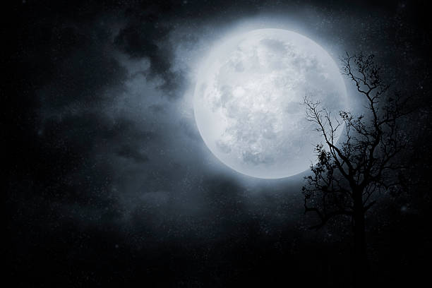 A serene and mystical scene of the full moon's glow illuminating the path of spiritual transformation