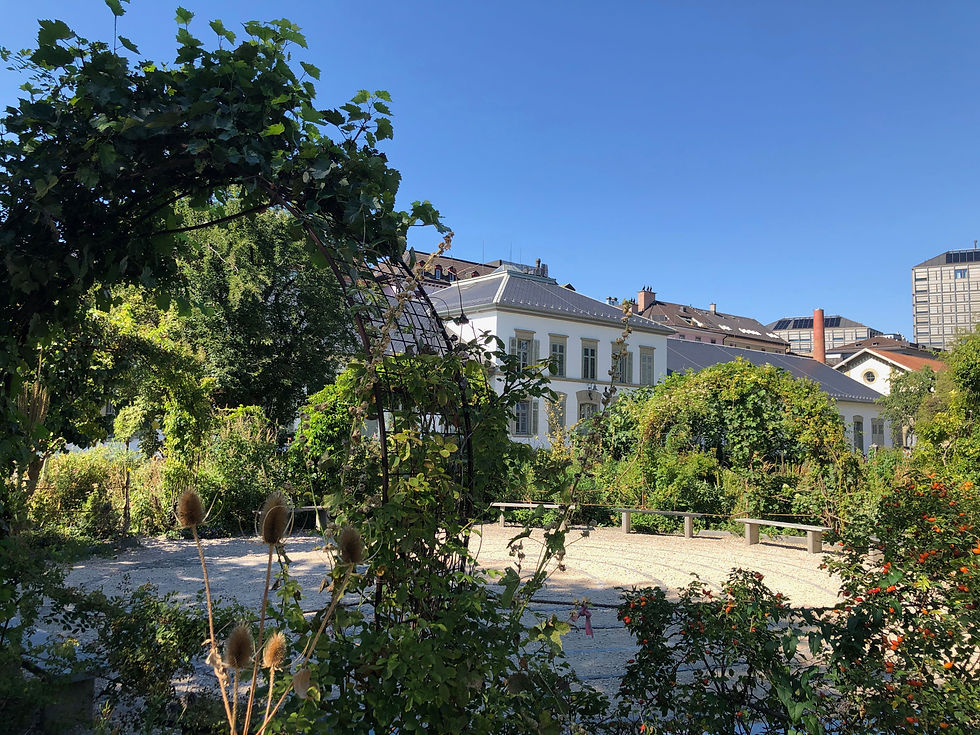 The Labyrinthplatz