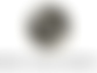 Israeli Wine Winners 2020