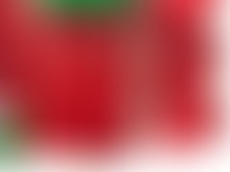 Sign Up for Fun & Unique Soap Workshops! 