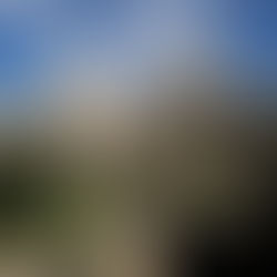 AUGUST AT THE TOWER OF DAVID!