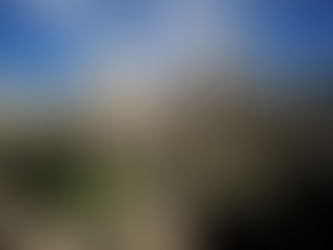 AUGUST AT THE TOWER OF DAVID!