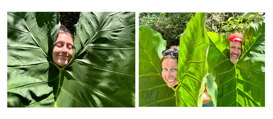Adventures with Ash in Colombia--May 2023