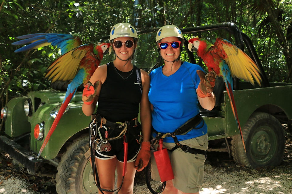 DC5DB7F7-BBF1-4D60-8BE8-D0AF9A99034B_1_105_c