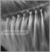 Where to get hair Extension in Dubai?