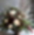 Circle 5 Winery Floral Arrangement Class 