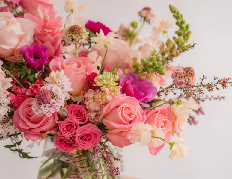 Thumbnail: Blushing Pink Wild Flora Blooms