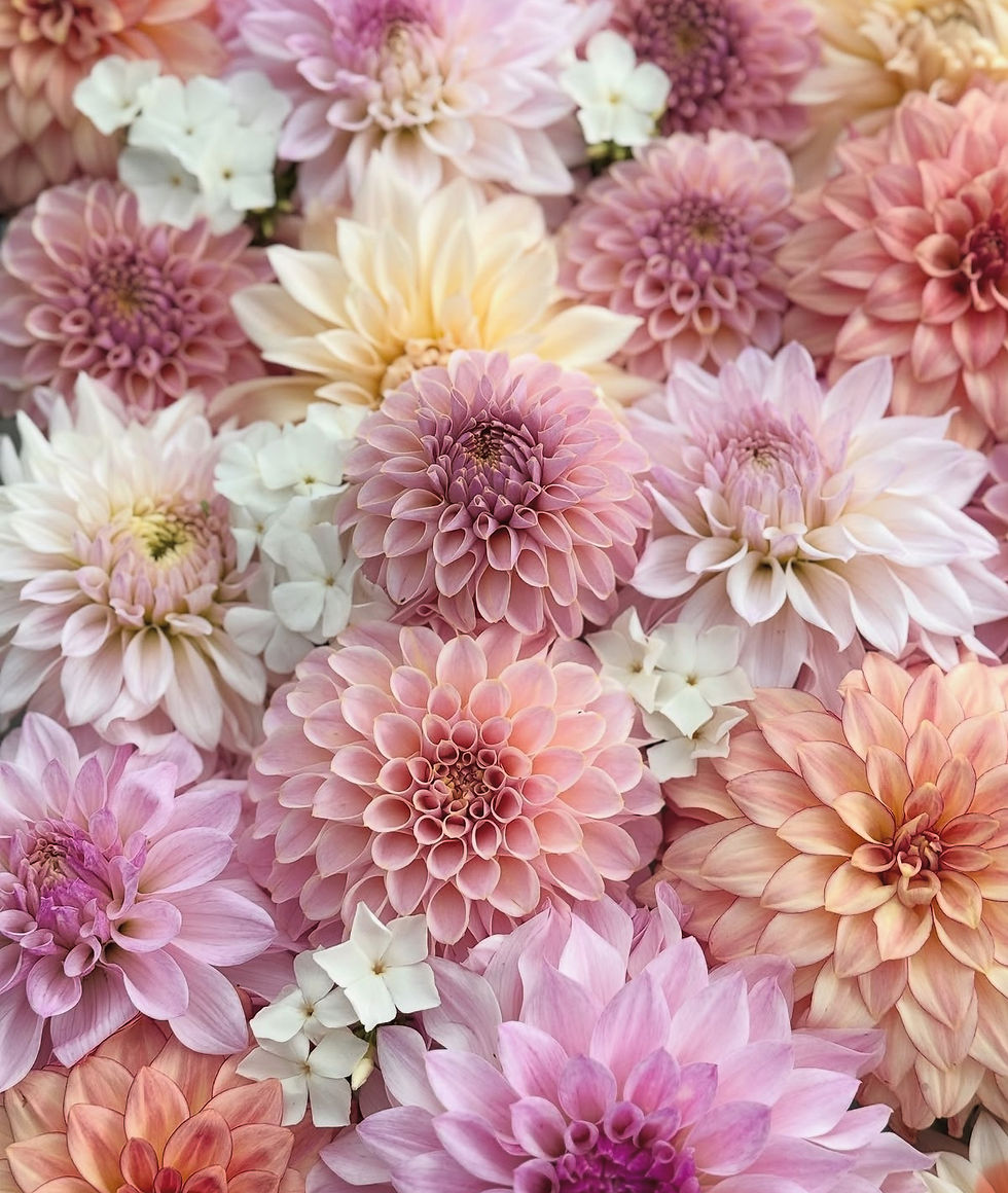 Thumbnail: DYI Wild Flora Fresh Flower Buckets