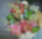 Thumbnail: WildFlora Weekly Blooms