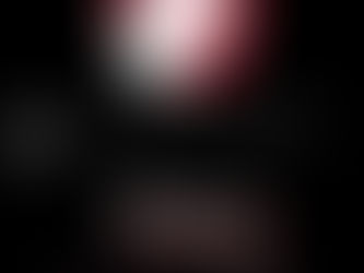 HAKUFUMY AKITA INU KENNEL