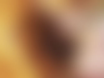 FUTABA and MATSUKAZE first litter is wonderful