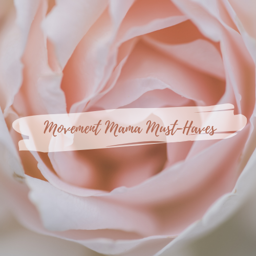 Peachpuff Brush Stroke Photography Logo 