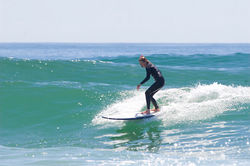 Surfboards by Chris Birch