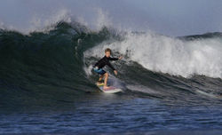 Surfboards by Chris Birch