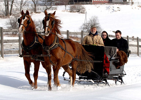sleigh ride.jpg