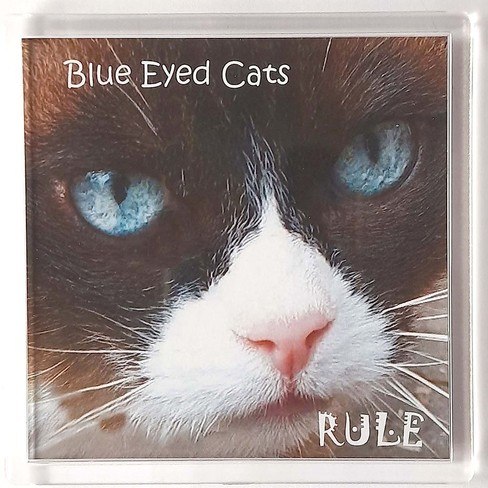 Thumbnail: Blue Eyed Cat Coasters