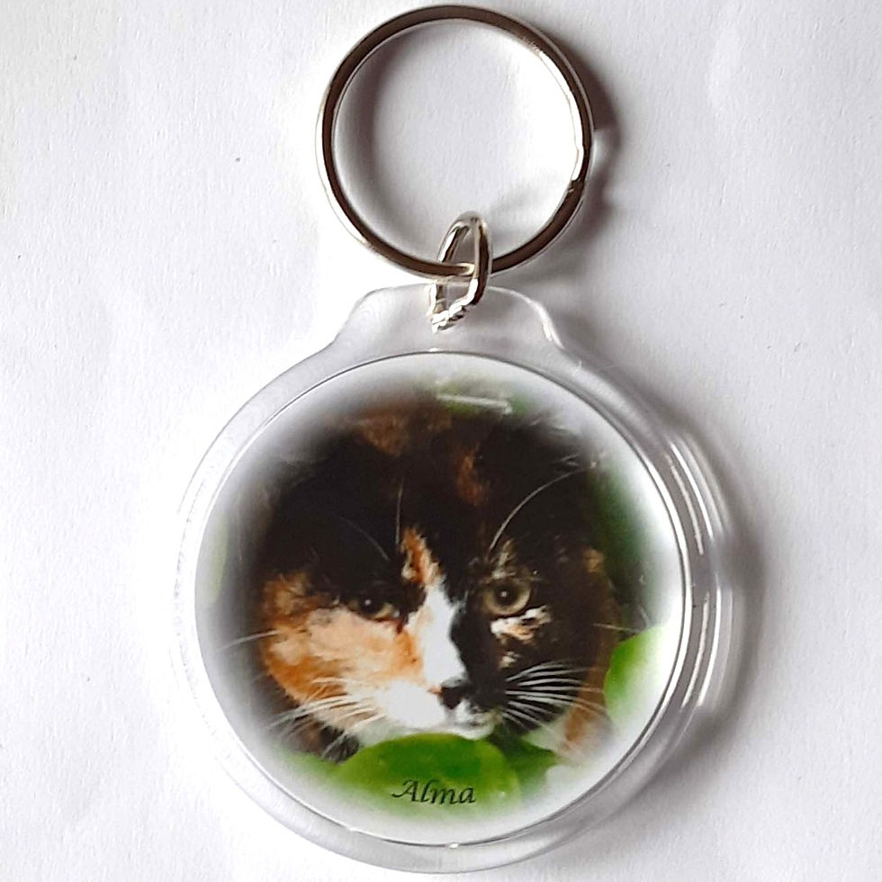 Vignette keyrings of Free Rangers, Alma to Vera