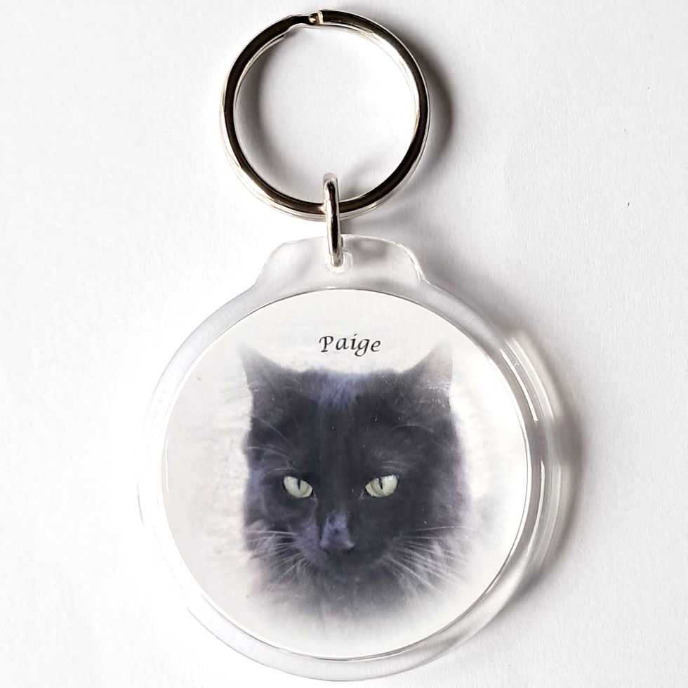 Vignette Keyrings of Paige, Brimble, Chloe and Rudy