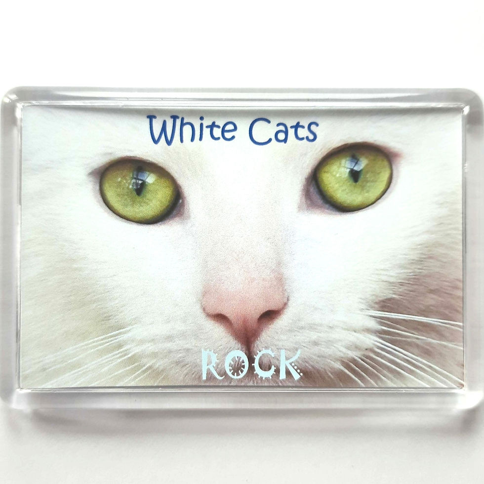 Thumbnail: White Cats are Cool Fridge Magnet