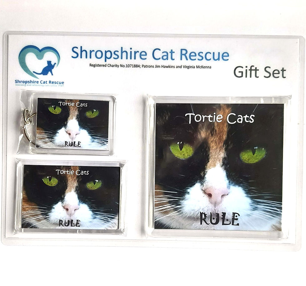 Thumbnail: Tortie Cats Gift Sets