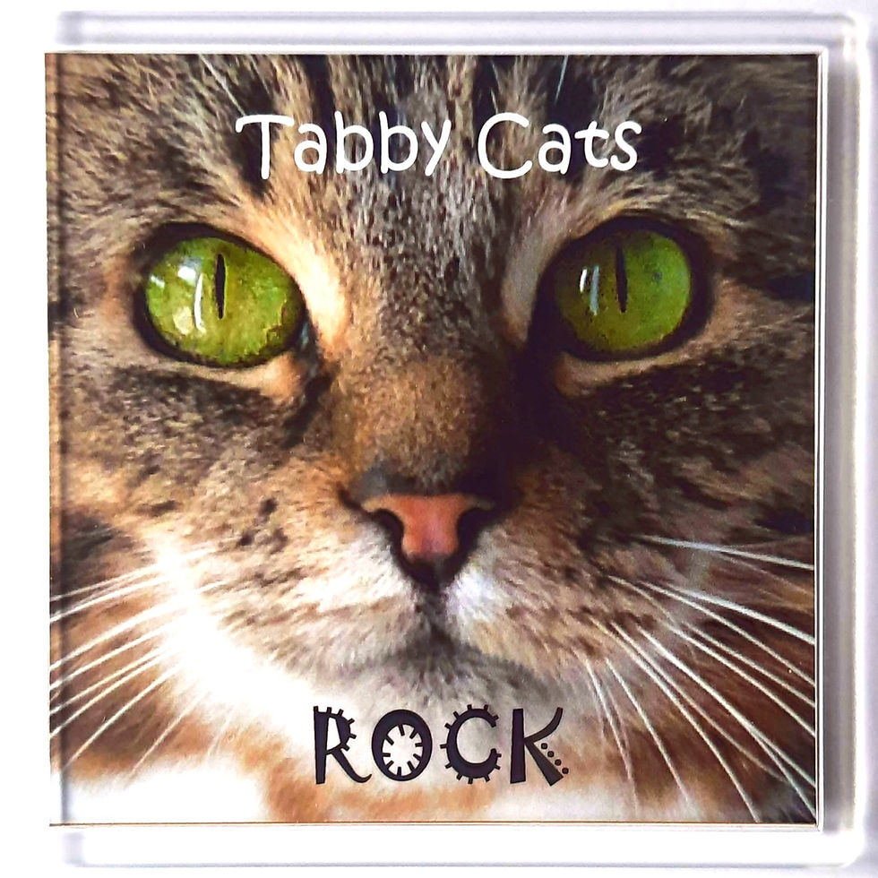 Thumbnail: Tabby Cats Coasters