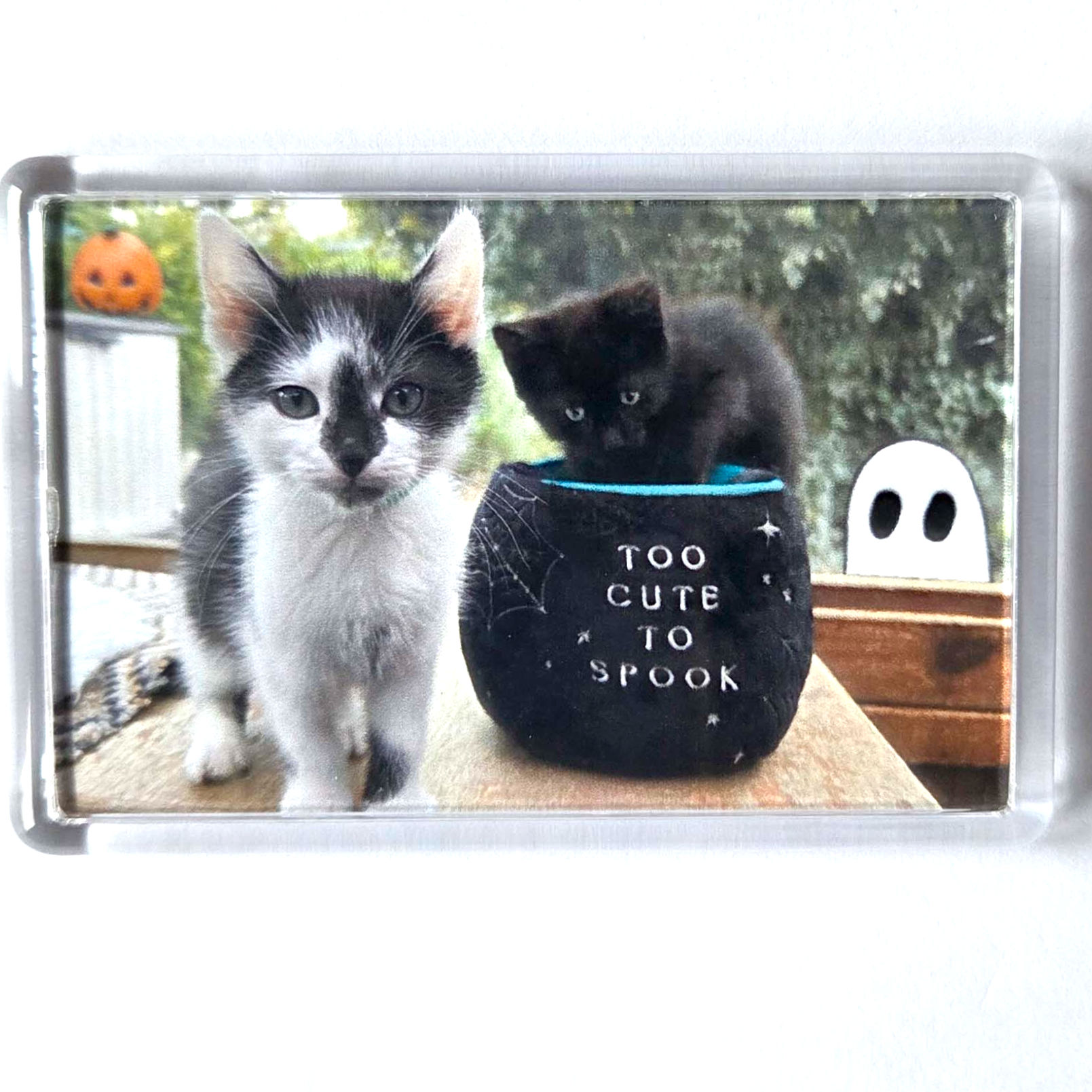 Too Cute To Spook with 2 Kittens Fridge magnet