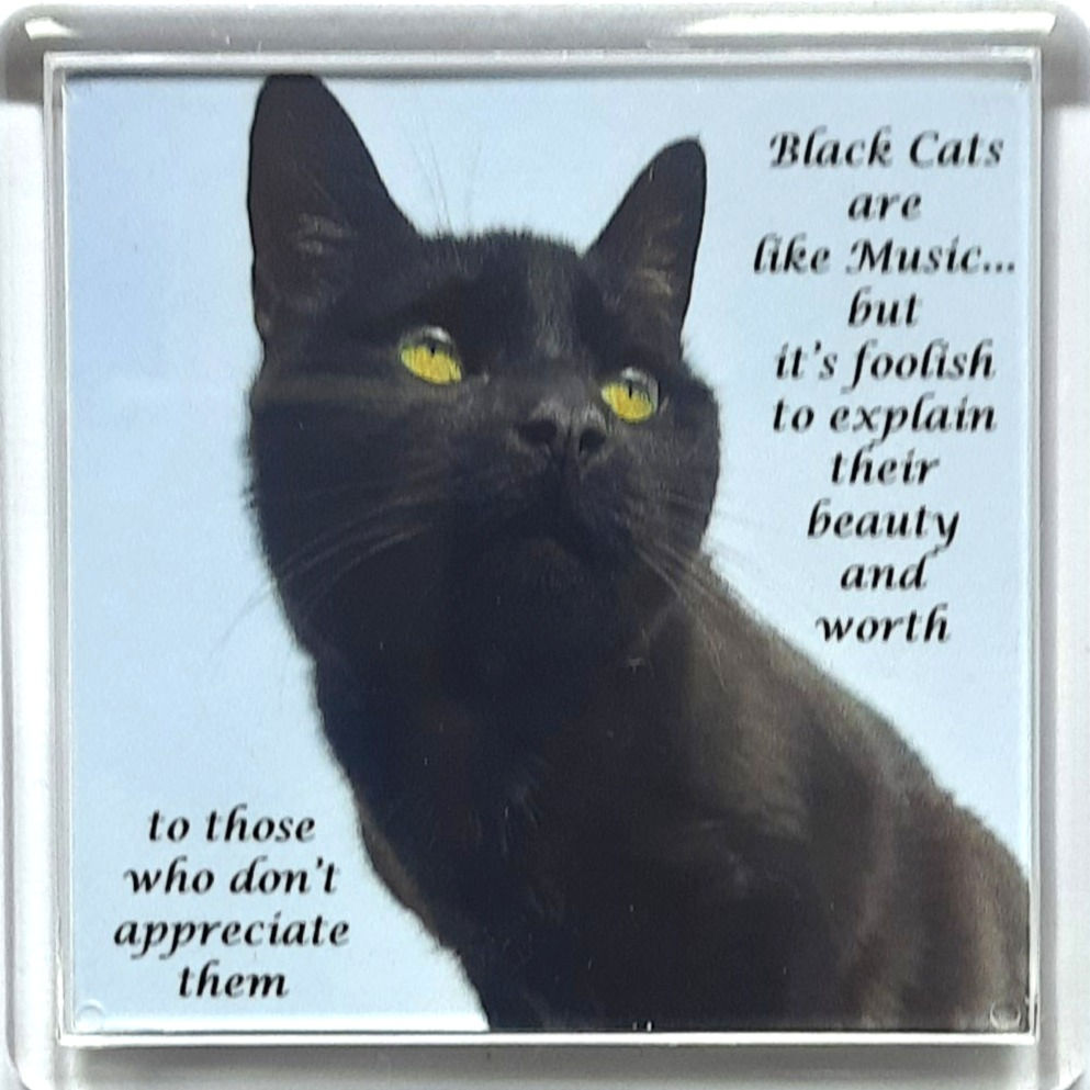 Black Cats are like Music...Fridge Magnet