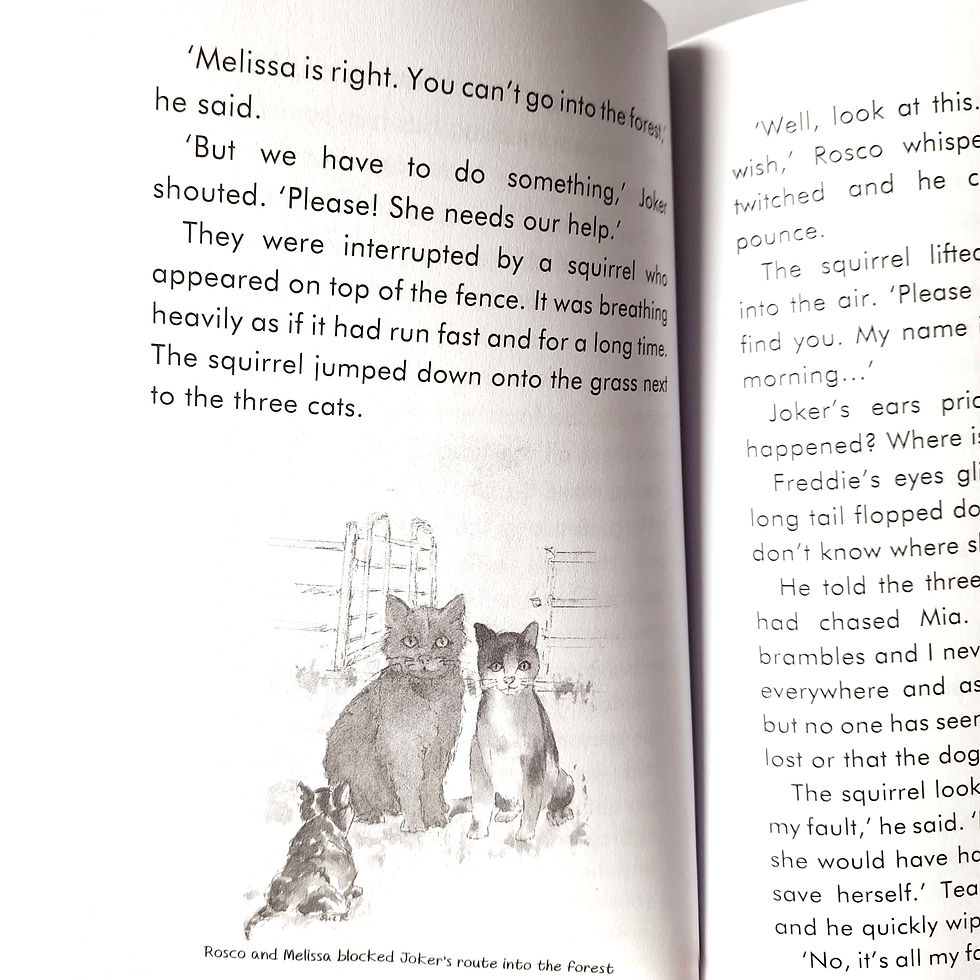 Thumbnail: Mia is Lost by J.K. Keane Illustrated by Sue Richards