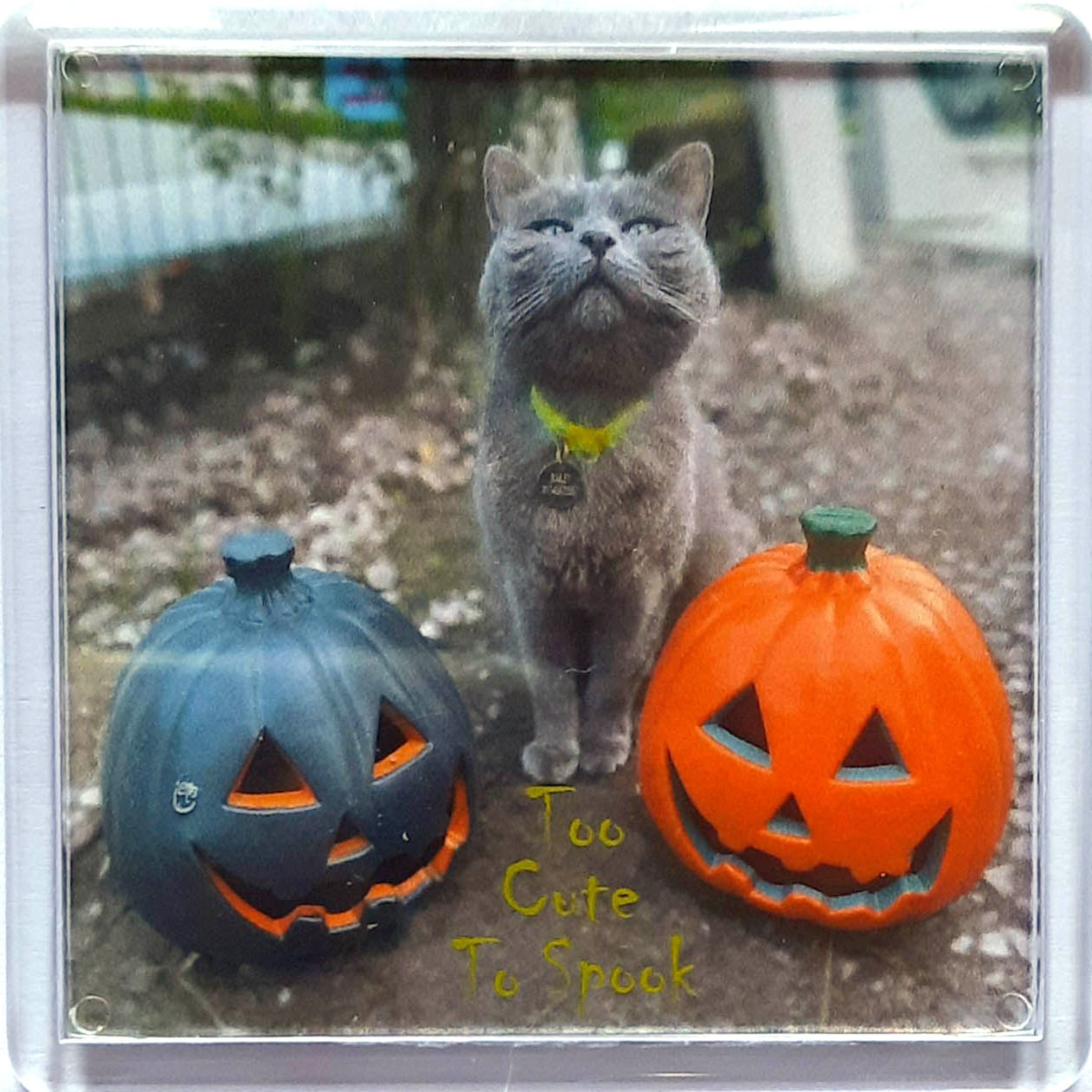Too Cute To Spook Fridge magnet