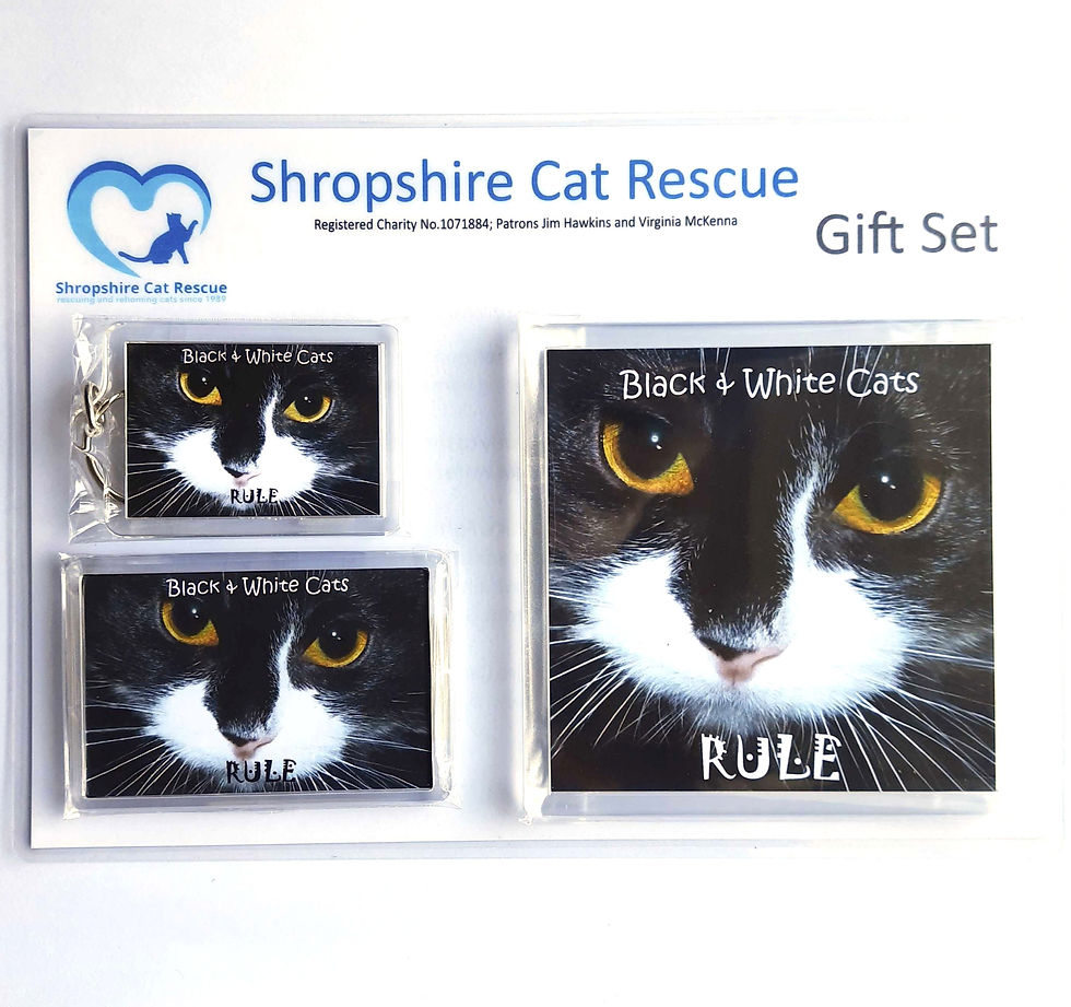 Thumbnail: Black and White Cats Gift Sets