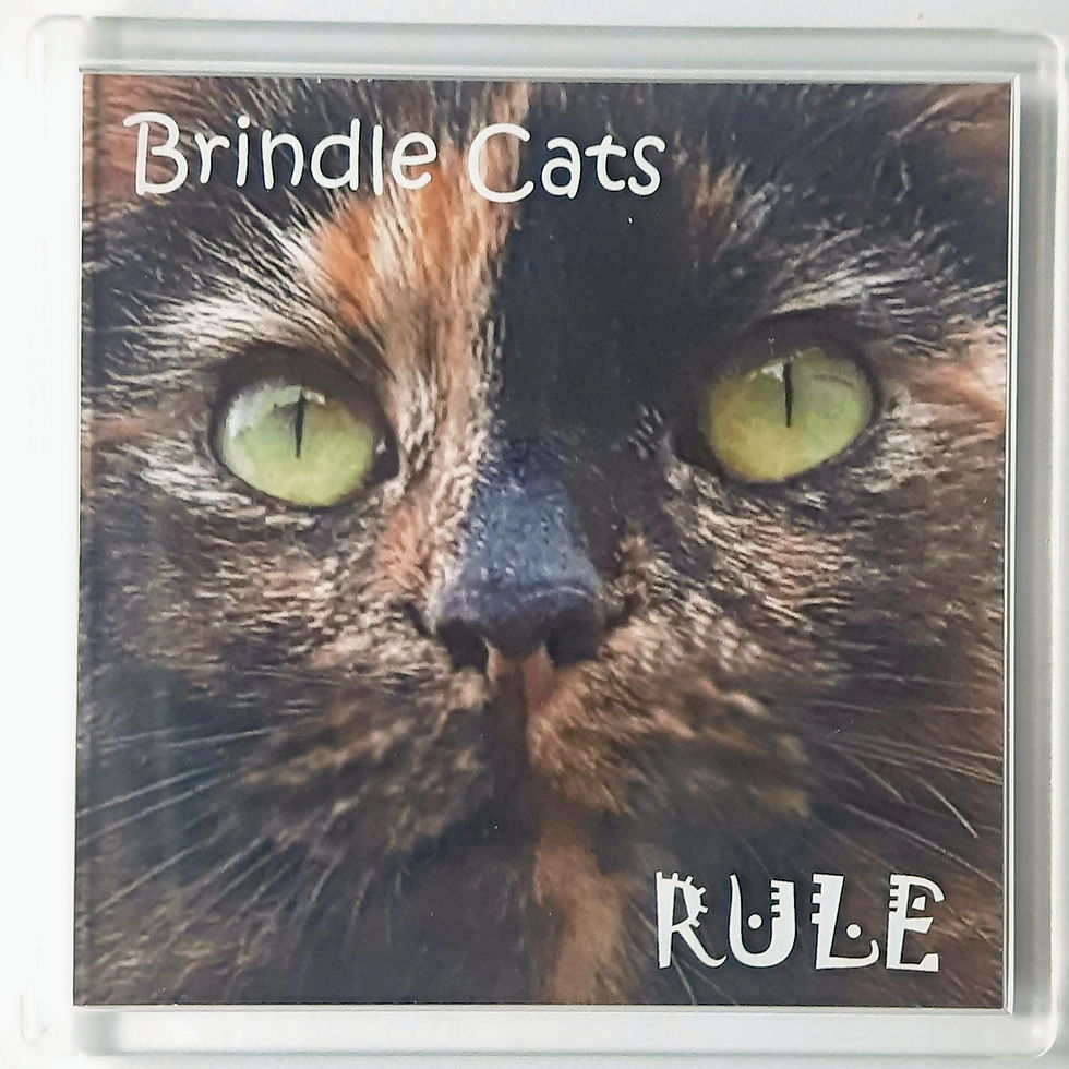 Brindle Cats Coasters