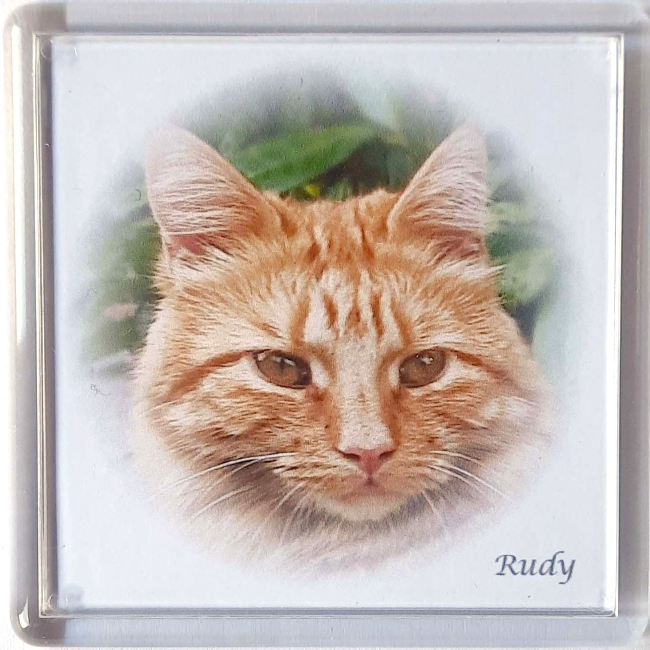 Vignette Fridge Magnets of Free Rangers Rudy, Brimble, Chloe and Paige