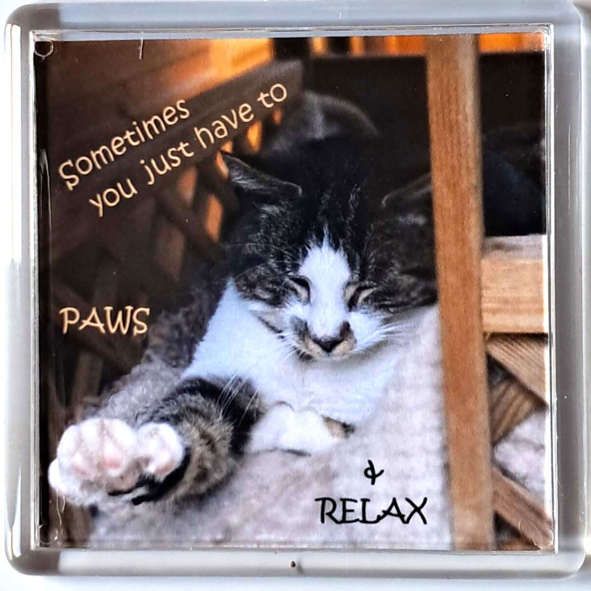 Sometimes you have to Paws & Relax Fridge Magnet