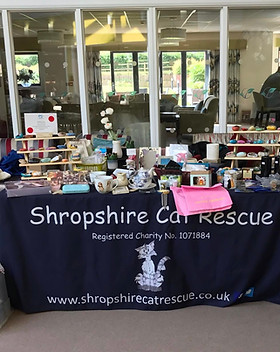 Fundraising photo.jpg