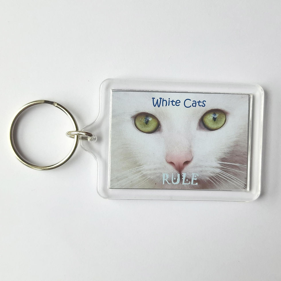 Thumbnail: White Cats Keyrings