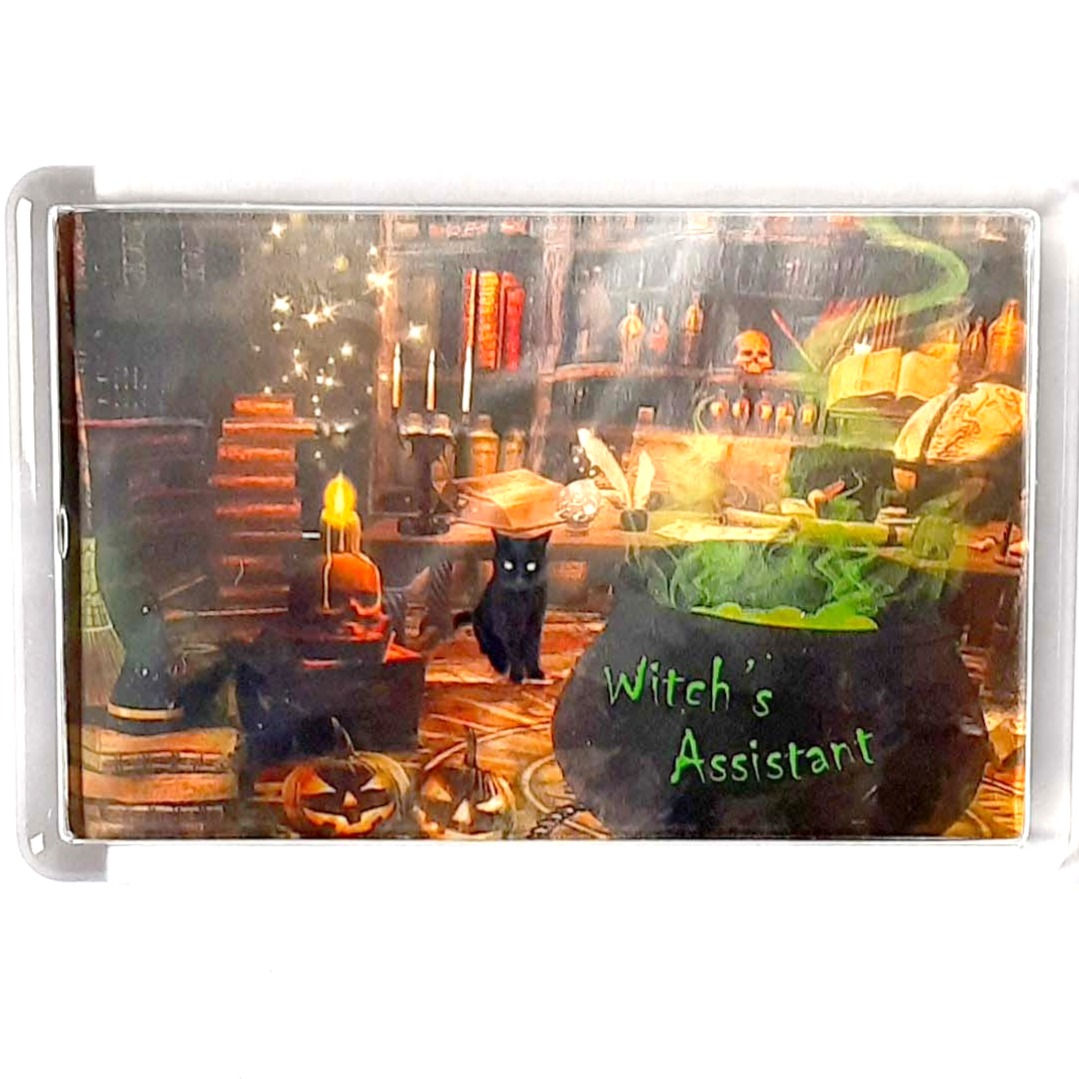 Witch's Assistant Fridge Magnets 2 sizes