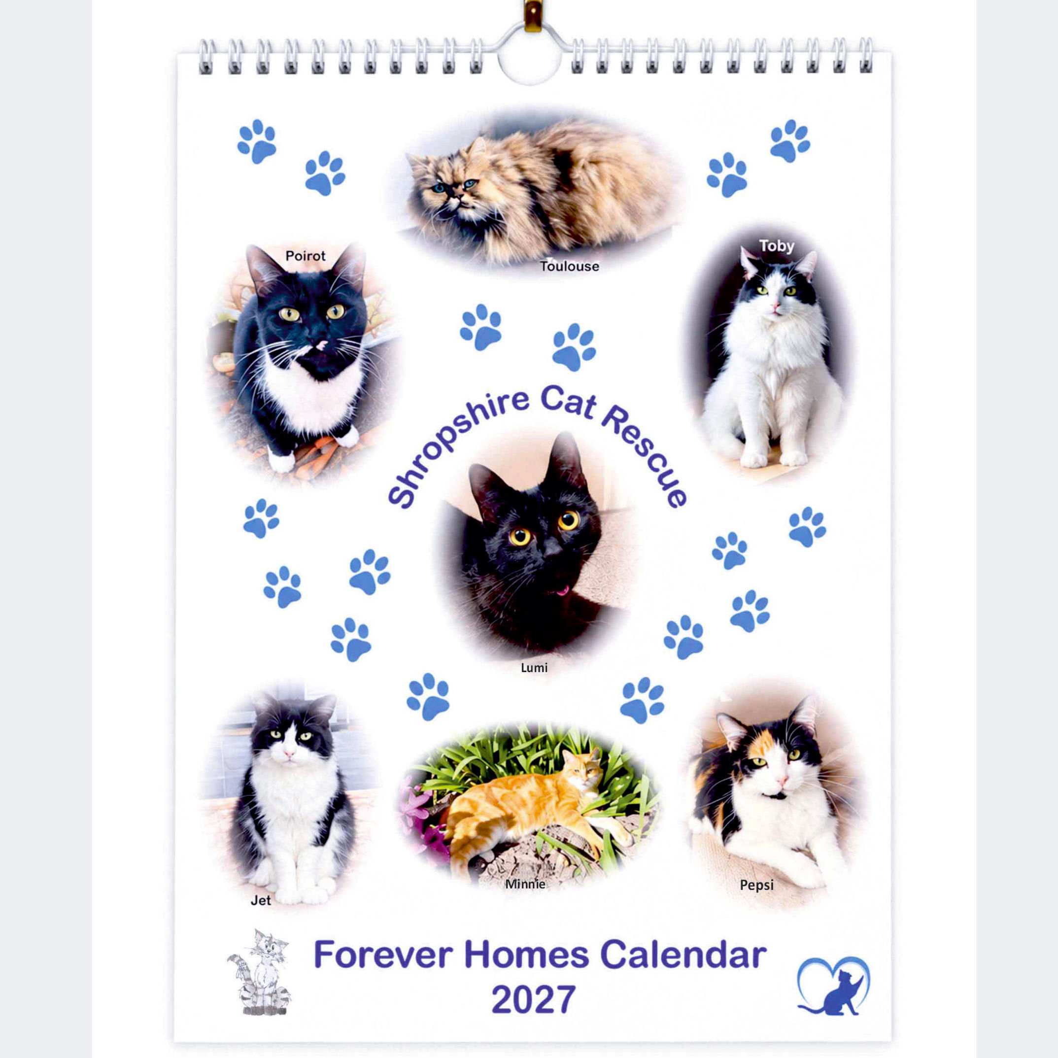 Shropshire Cat Rescue Forever Homes 2027 Calendar