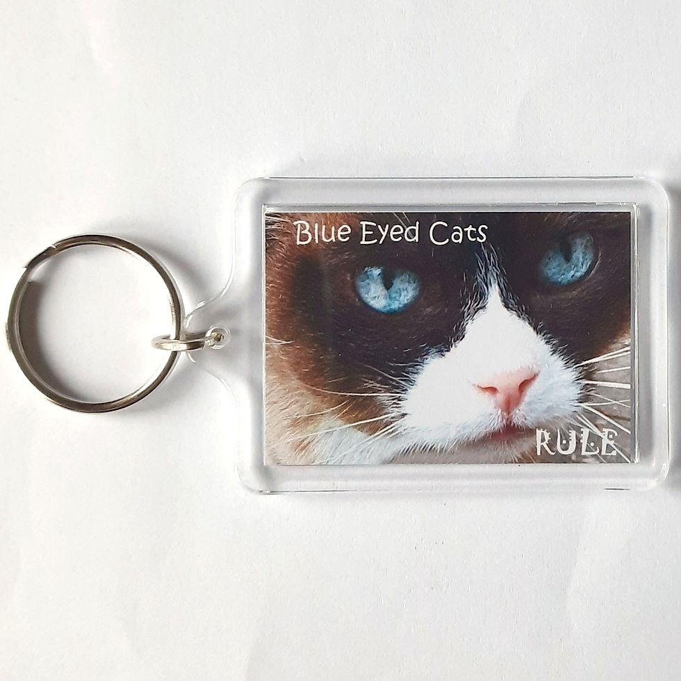 Thumbnail: Blue Eyed Cats Keyrings